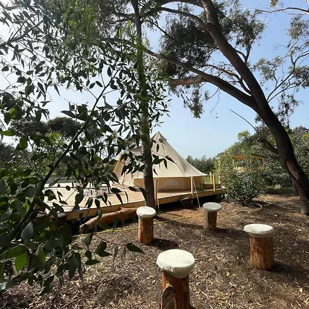 Lavender Glamping