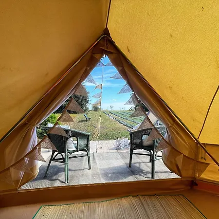 Lavender Glamping Elmas