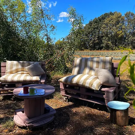 Luxury tent Lavender Glamping *
