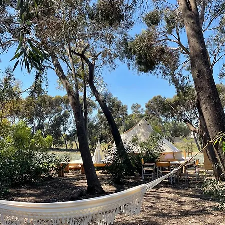 럭셔리텐트 Lavender Glamping Elmas